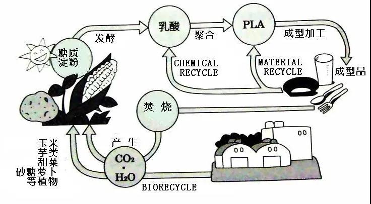 可生物降解環(huán)保塑料可以回收再利用嗎？(圖4)