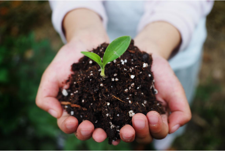 巴斯夫攜手彤程新材料集團(tuán)在中國(guó)合作生產(chǎn)經(jīng) 認(rèn) 證可堆 肥共聚酯 (PBAT)(圖2)